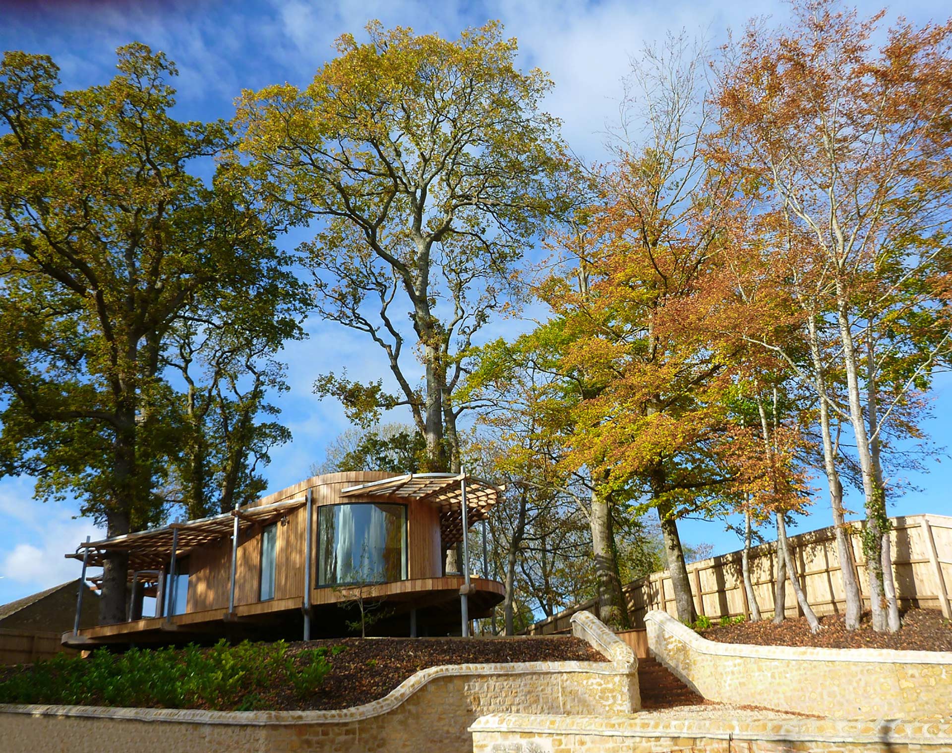 modern wood clad house set amongst trees